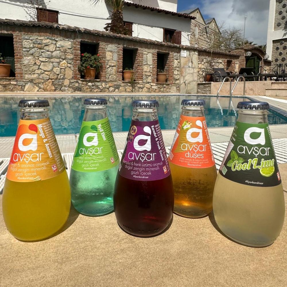 AVŞAR MEYVELİ SODA